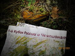 https://upforme.ru/uploads/0010/54/6f/2661/t858432.jpg