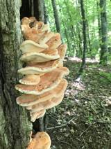 https://upforme.ru/uploads/0010/54/6f/2760/t42375.jpg