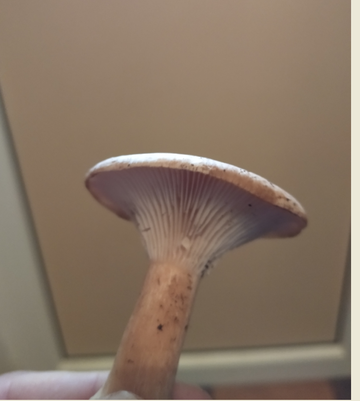 https://upforme.ru/uploads/0010/54/6f/2836/t340067.png