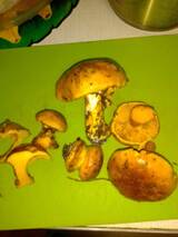 https://upforme.ru/uploads/0010/54/6f/2894/t718847.jpg