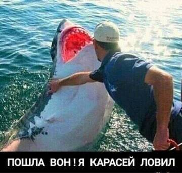 https://upforme.ru/uploads/0010/88/8a/2/t984958.jpg