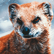 https://upforme.ru/uploads/0010/8c/30/2032/577448.png
