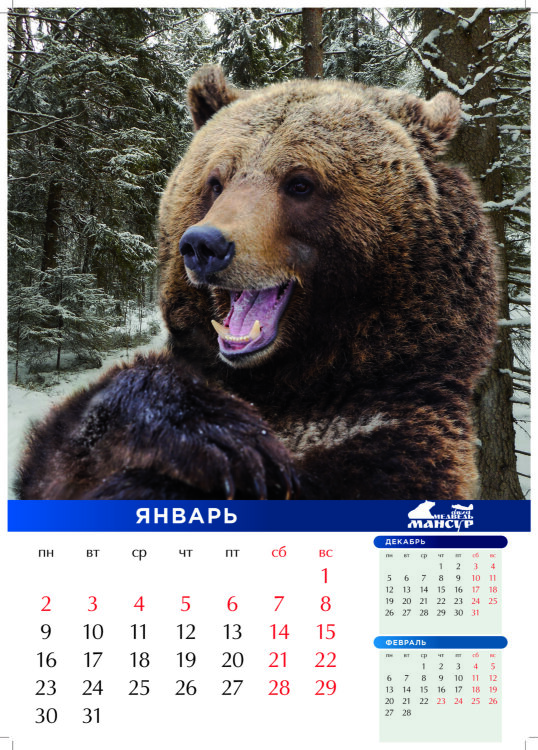 https://upforme.ru/uploads/0010/90/3b/2/408354.jpg