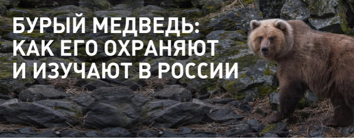 https://upforme.ru/uploads/0010/90/3b/2/449610.jpg