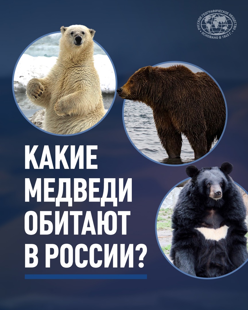 https://upforme.ru/uploads/0010/90/3b/2/487848.jpg