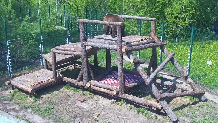 https://upforme.ru/uploads/0010/90/3b/2/600332.webp
