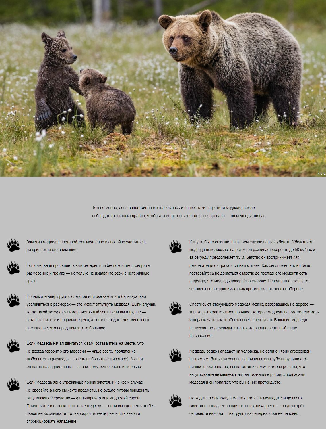 https://upforme.ru/uploads/0010/90/3b/2/989746.jpg
