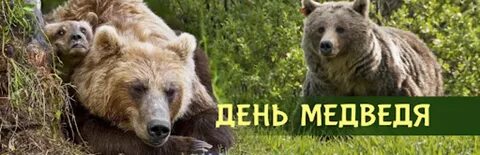 https://upforme.ru/uploads/0010/90/3b/2/995478.jpg