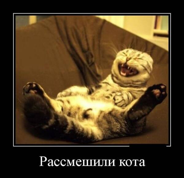https://upforme.ru/uploads/0010/b8/af/2/t800603.jpg