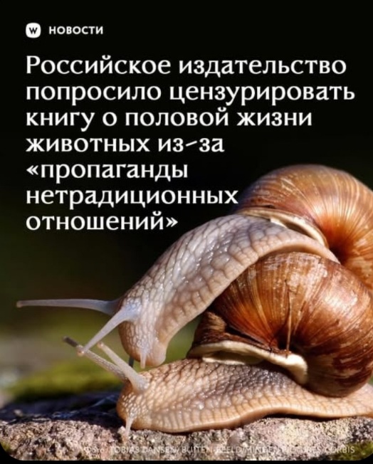 https://upforme.ru/uploads/0010/b8/af/4/142442.jpg