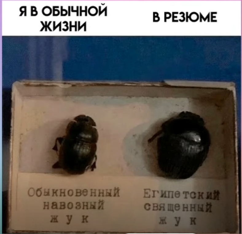 https://upforme.ru/uploads/0010/b8/af/4/277315.jpg