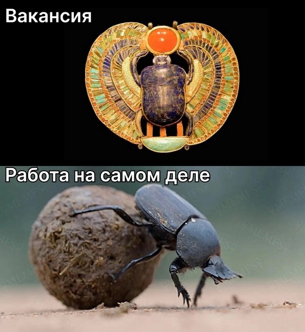 https://upforme.ru/uploads/0010/b8/af/4/521948.jpg