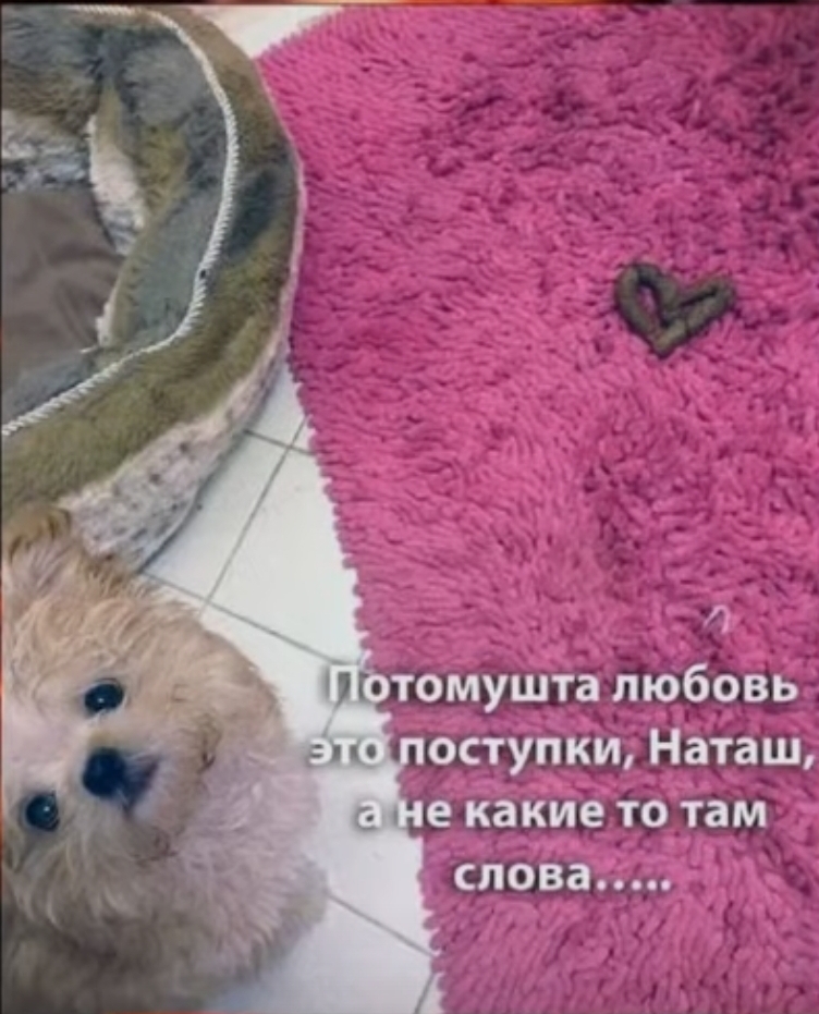 https://upforme.ru/uploads/0010/b8/af/4/747040.jpg