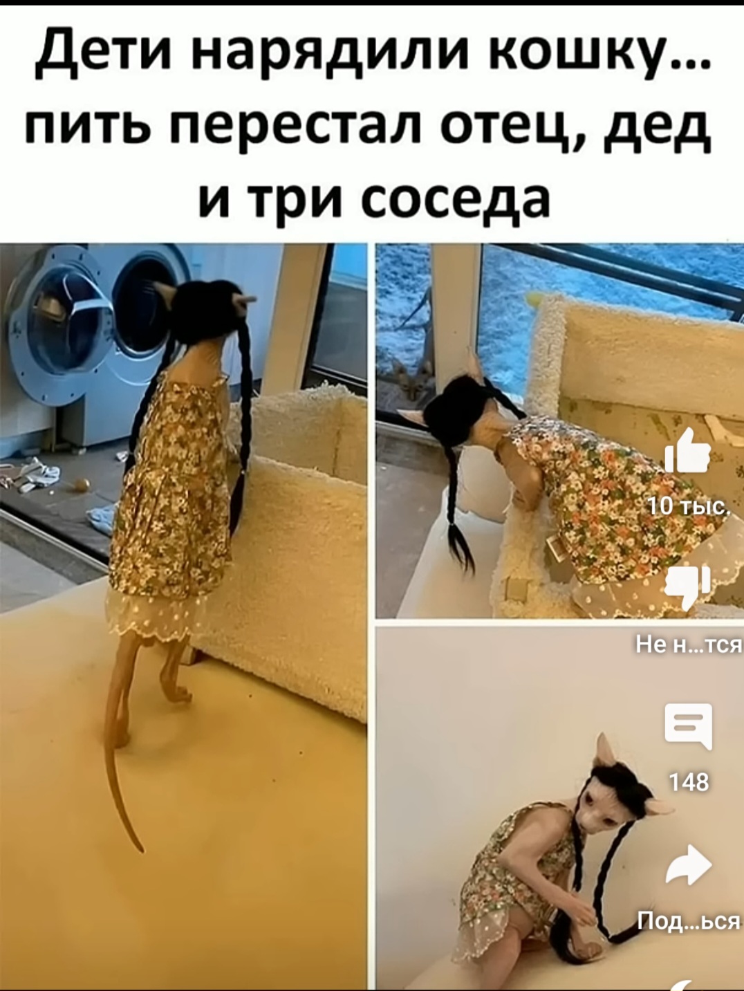 https://upforme.ru/uploads/0010/b8/af/4/966585.jpg