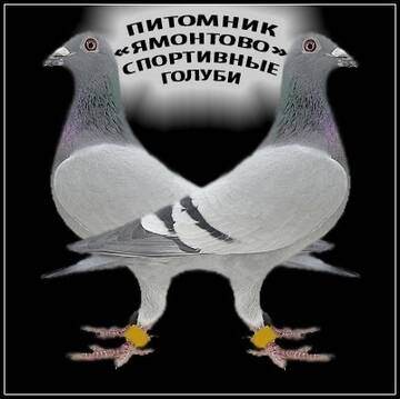 https://upforme.ru/uploads/0010/d2/fe/2/t508449.jpg