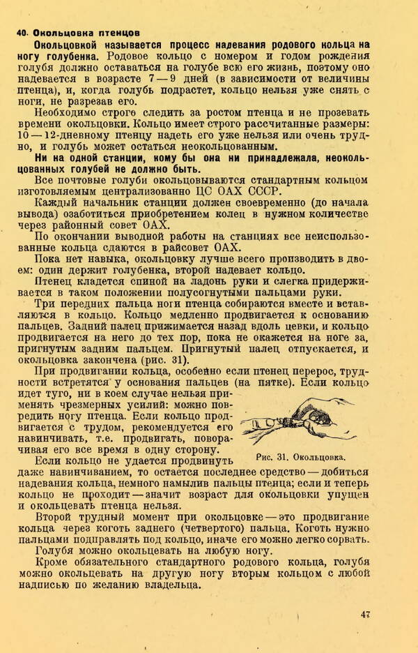 https://upforme.ru/uploads/0010/d2/fe/762/t600455.jpg