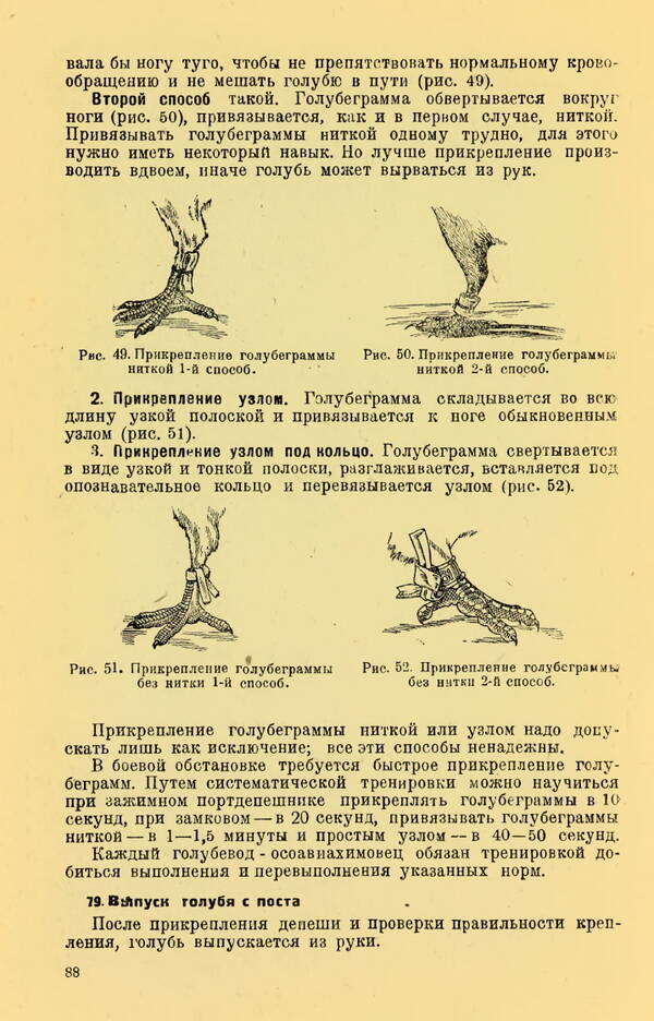 https://upforme.ru/uploads/0010/d2/fe/762/t65554.jpg