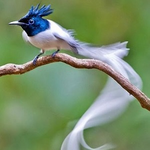 https://upforme.ru/uploads/0010/e9/37/128/10373.jpg