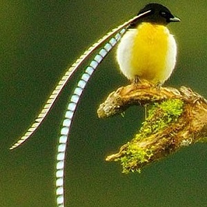 https://upforme.ru/uploads/0010/e9/37/128/44292.jpg