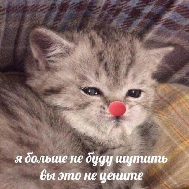https://upforme.ru/uploads/0010/e9/37/169/133336.jpg