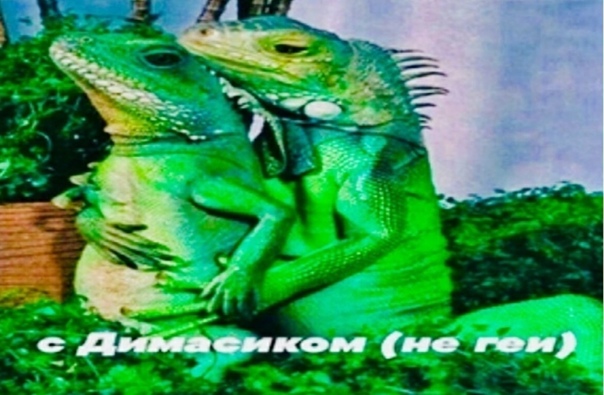 https://upforme.ru/uploads/0010/e9/37/169/399259.jpg