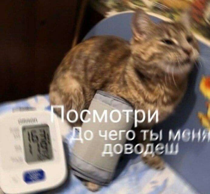 https://upforme.ru/uploads/0010/e9/37/169/911390.jpg