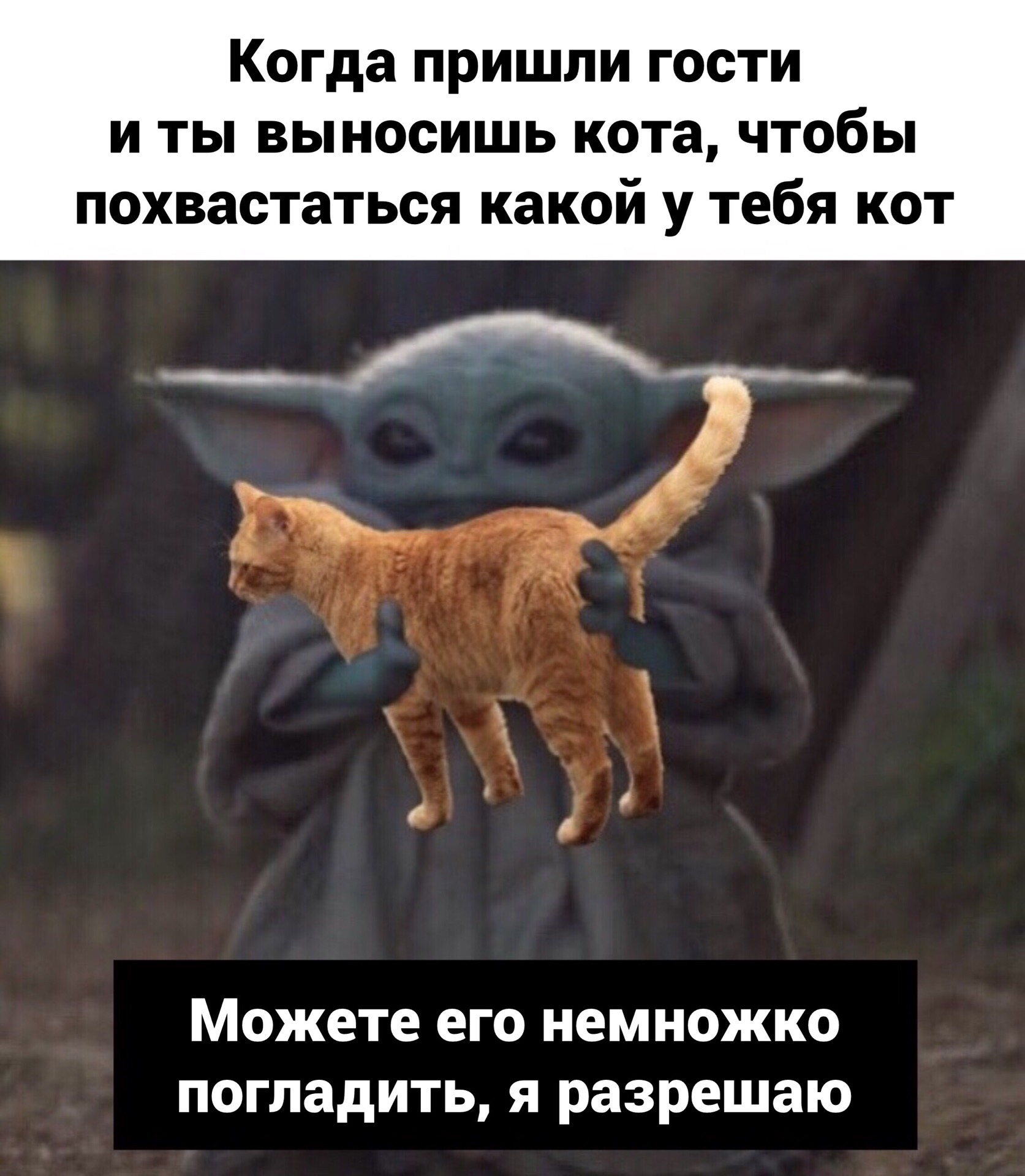 https://upforme.ru/uploads/0010/e9/37/320/47162.jpg