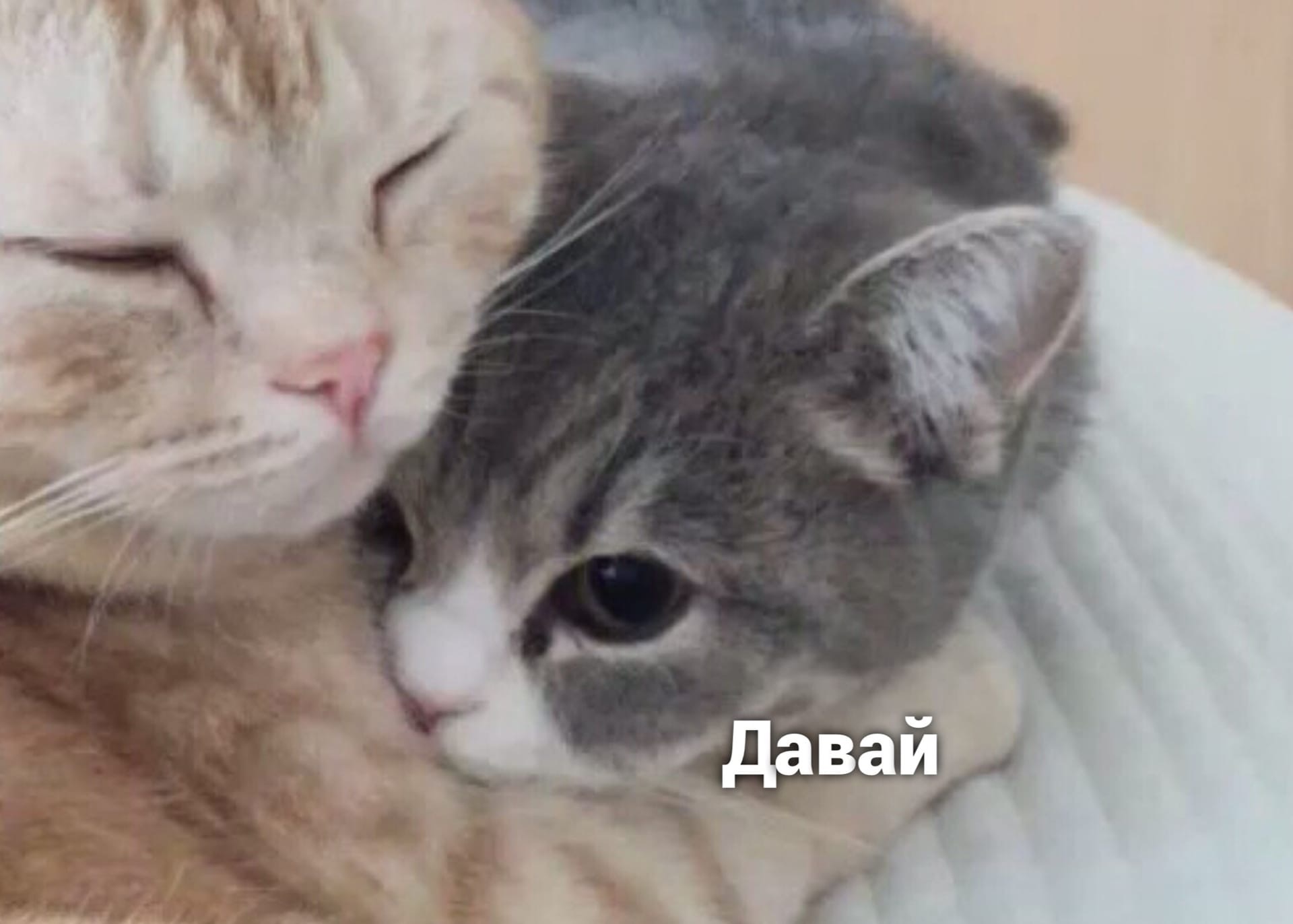 https://upforme.ru/uploads/0010/e9/37/320/503812.jpg