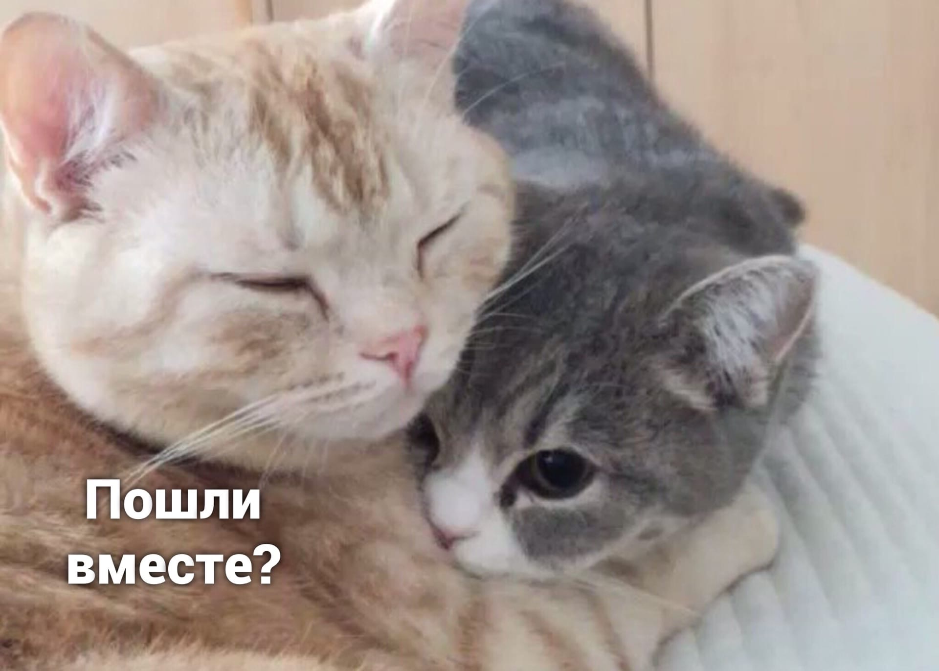 https://upforme.ru/uploads/0010/e9/37/320/567302.jpg