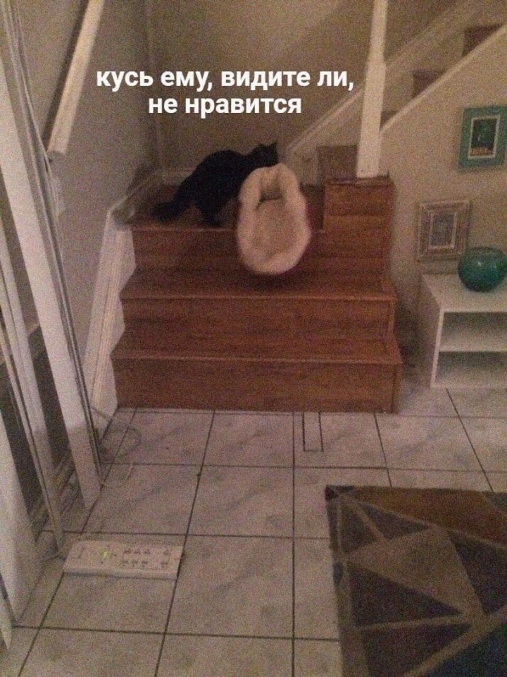 https://upforme.ru/uploads/0010/e9/37/320/598249.jpg