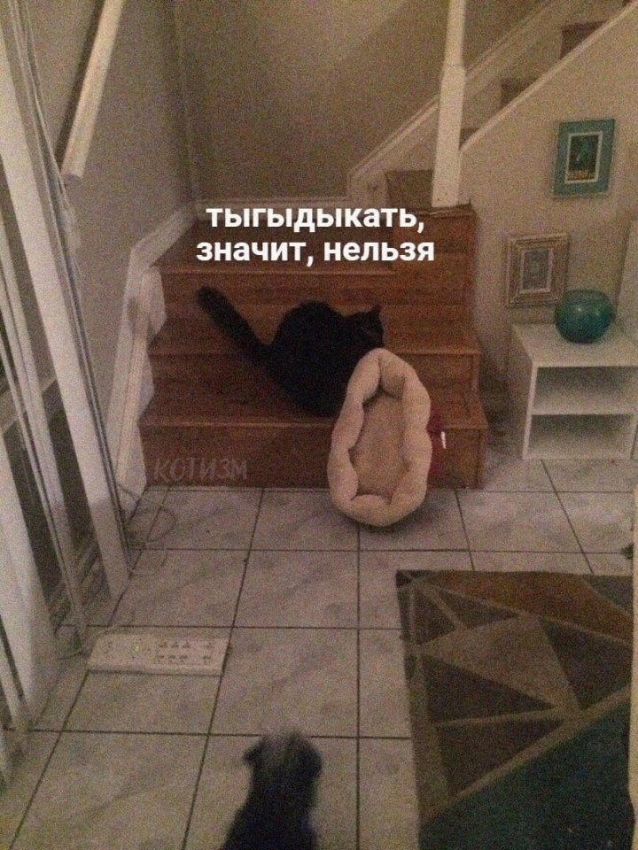 https://upforme.ru/uploads/0010/e9/37/320/73832.jpg