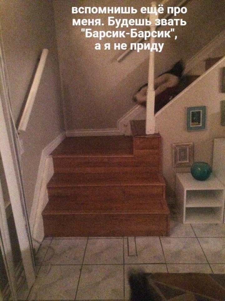 https://upforme.ru/uploads/0010/e9/37/320/977722.jpg