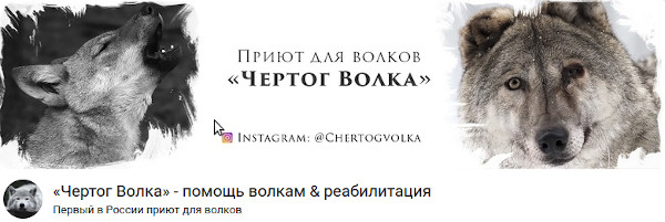 https://upforme.ru/uploads/0010/ea/55/2/t116512.jpg