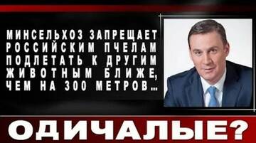 https://upforme.ru/uploads/0010/f8/52/45/t50608.jpg
