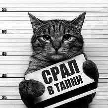 https://upforme.ru/uploads/0010/f8/52/45/t57185.jpg