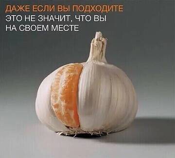 https://upforme.ru/uploads/0010/f8/52/45/t790273.jpg