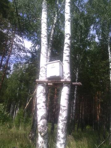 https://upforme.ru/uploads/0010/f8/52/964/t948144.jpg