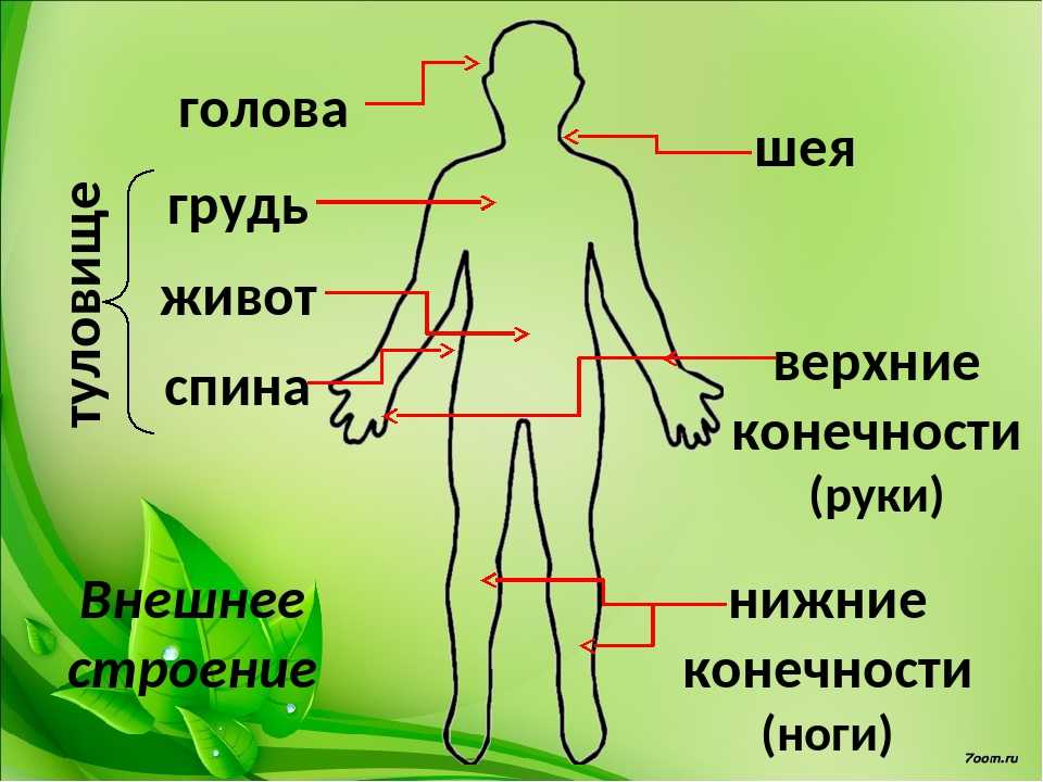 https://upforme.ru/uploads/0011/1a/c0/3/787483.jpg