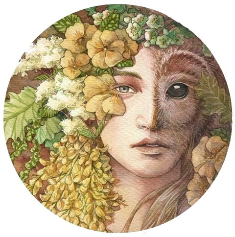 https://upforme.ru/uploads/0011/1a/c0/3062/t447018.png