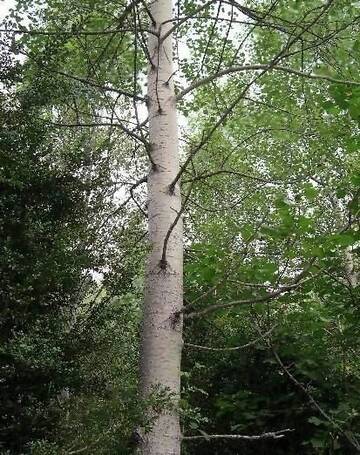 https://upforme.ru/uploads/0011/1a/c0/3062/t750680.jpg