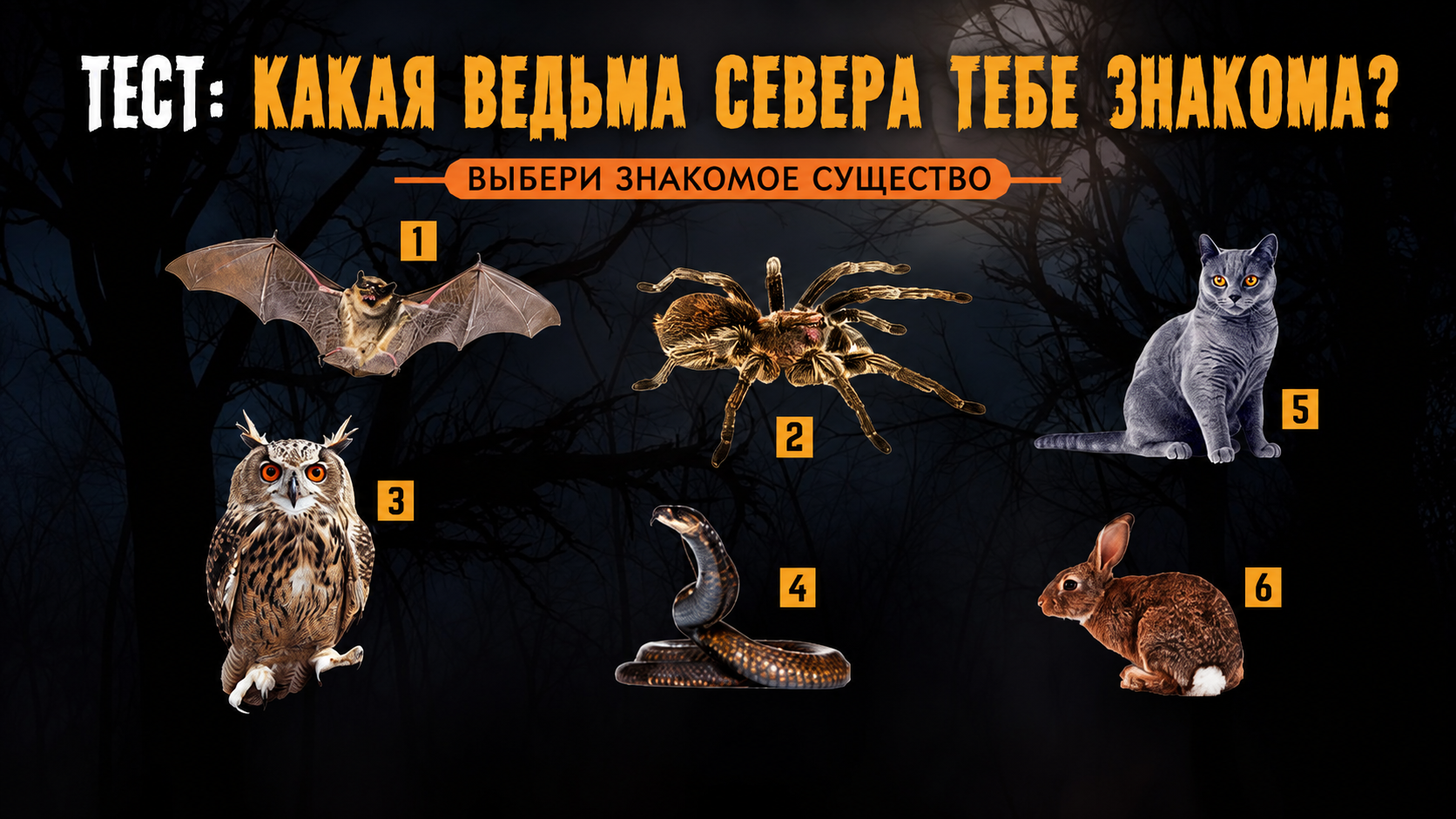 https://upforme.ru/uploads/0011/1a/c0/3063/386731.png