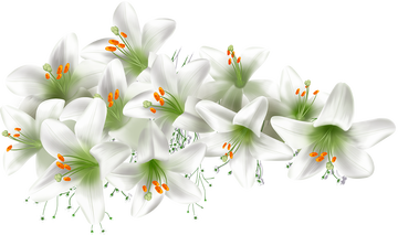 https://upforme.ru/uploads/0011/20/45/1883/t267340.png