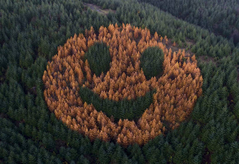 https://upforme.ru/uploads/0011/27/38/31/526503.jpg