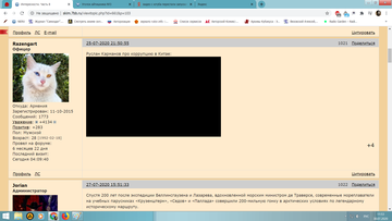 https://upforme.ru/uploads/0011/27/38/466/t834011.png