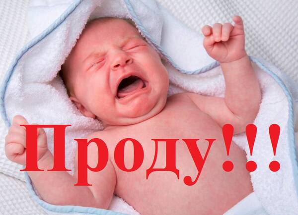 https://upforme.ru/uploads/0011/27/38/717/t709005.jpg
