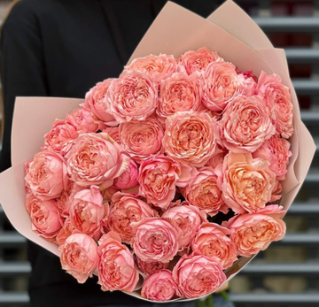 https://upforme.ru/uploads/0011/2a/63/232/t680429.png