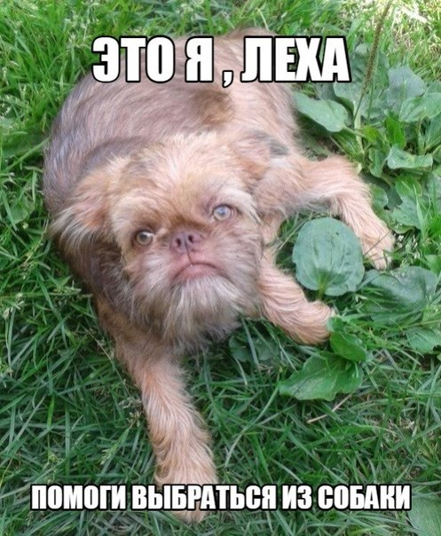 https://upforme.ru/uploads/0011/4c/71/47/724121.png