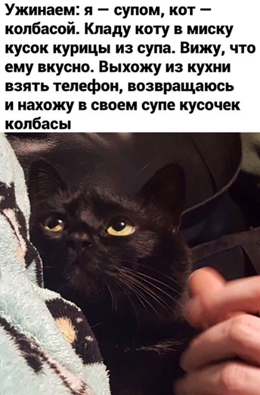 https://upforme.ru/uploads/0011/4f/72/4/t721679.jpg