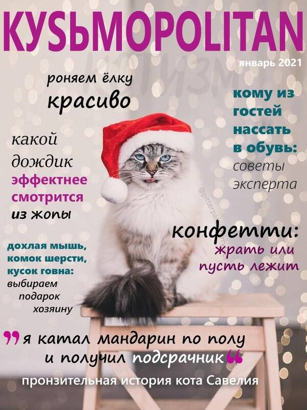 https://upforme.ru/uploads/0011/4f/72/4/t945682.jpg