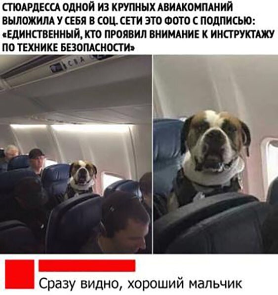 https://upforme.ru/uploads/0011/4f/72/4/t993208.jpg